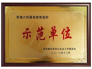 雙強(qiáng)六號服務(wù)型黨組織示范單位